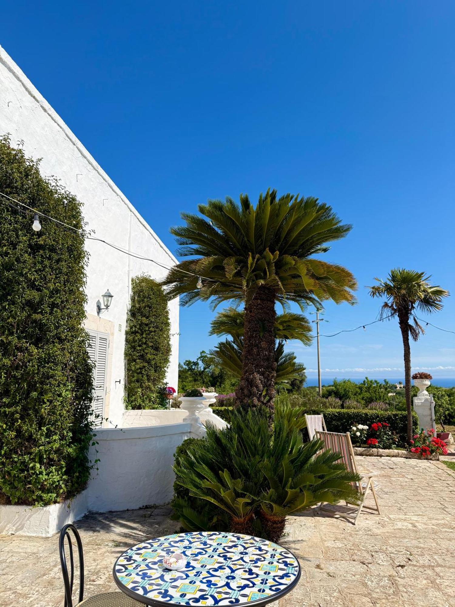 B&B Nonno Ciccio Monopoli Eksteriør billede